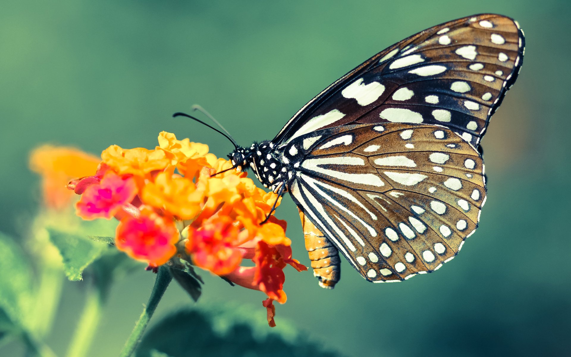 德国男子皮划艇选手诺亚·赫格获得铜牌，奥运男子皮划艇