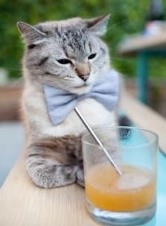 山地徒步穿越挑战赛,探索未知的自然奇观,山地徒步越野